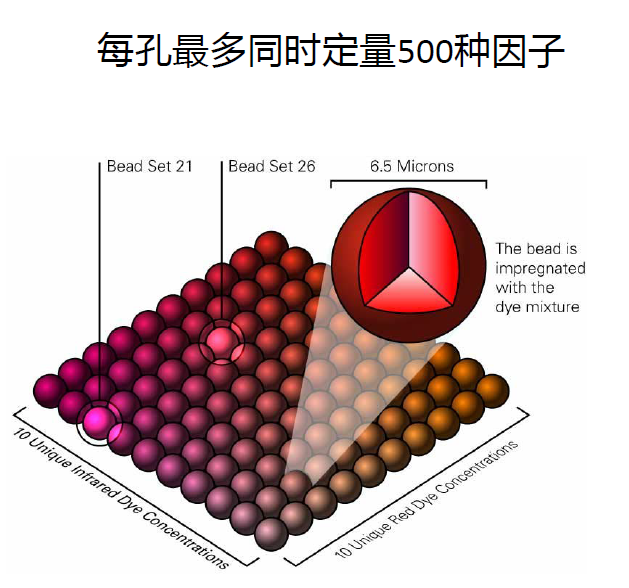 细胞因子风暴检测——助力新冠状病毒治疗